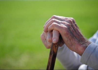 پیش بینی افزایش 10درصدی سالمندان دچار آلزایمر در ایران
