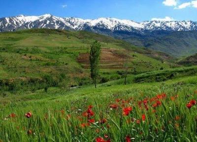 قلب گرین زیر پای شکارچیان و گردشگران