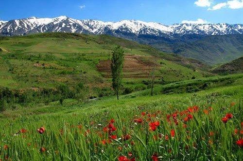 قلب گرین زیر پای شکارچیان و گردشگران قلب گرین زیر پای شکارچیان و گردشگران