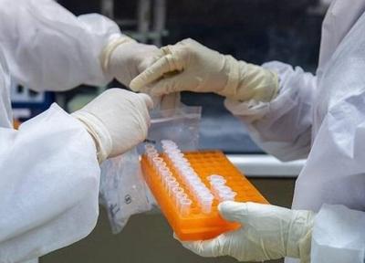 جدیدترین آمار مبتلایان به ویروس کرونا در 24 ساعت گذشته ، 3276 نفر از مبتلایان بهبود یافتند