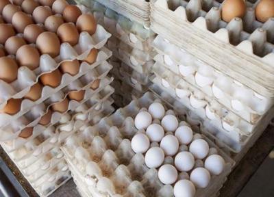 کاهش قیمت تخم مرغ در عمده فروشی