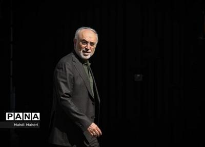 توضیح صالحی درباره سفر گروسی به تهران