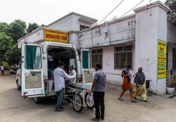 مشاهده یک بیماری عفونی نادر در هند در بحبوحه جولان کرونا
