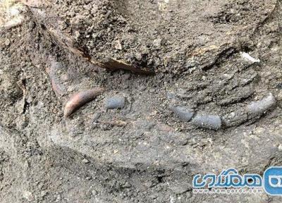 نشانه هایی از انسان شکارگر دوران باستان در غار هوتو کشف شدند